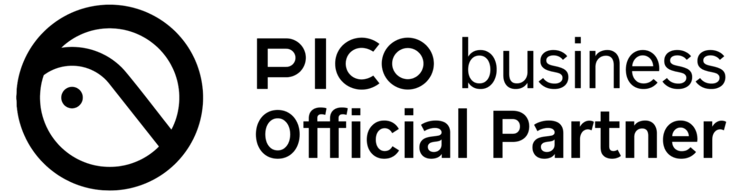 Pico Partner-1